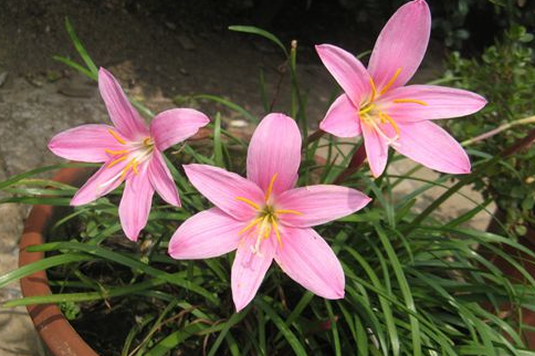 picture\7_1539311559310158.png picture\8_image.png